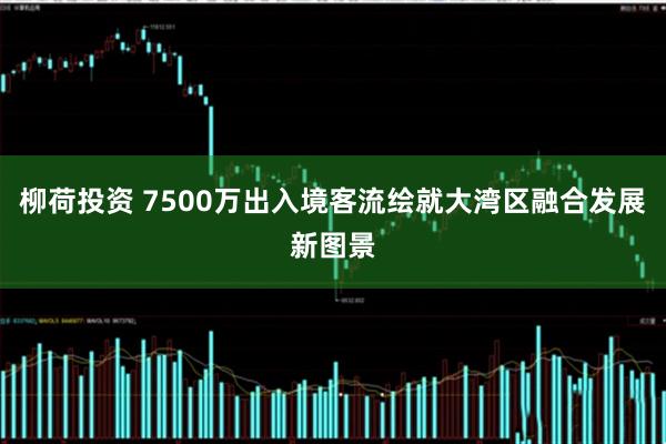 柳荷投资 7500万出入境客流绘就大湾区融合发展新图景