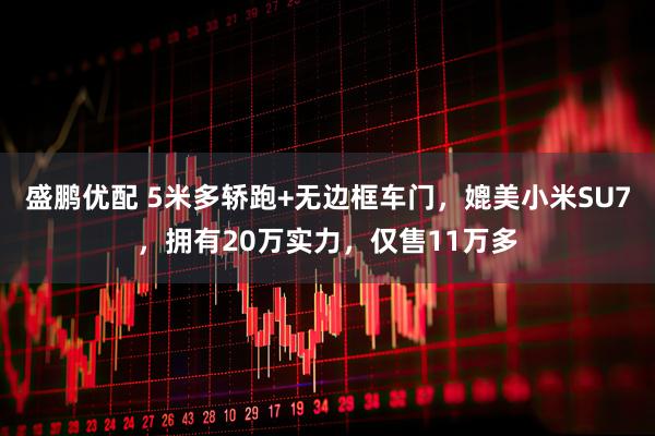 盛鹏优配 5米多轿跑+无边框车门，媲美小米SU7，拥有20万实力，仅售11万多